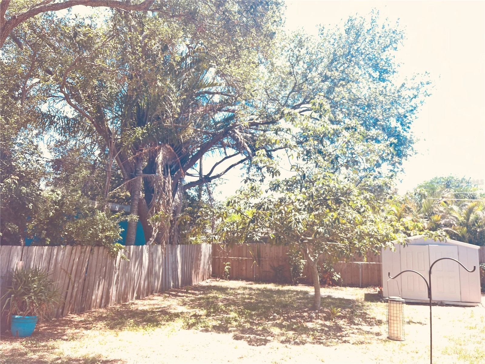 551 Orangewood Drive Dunedin FL 34698 TB8504360 image34