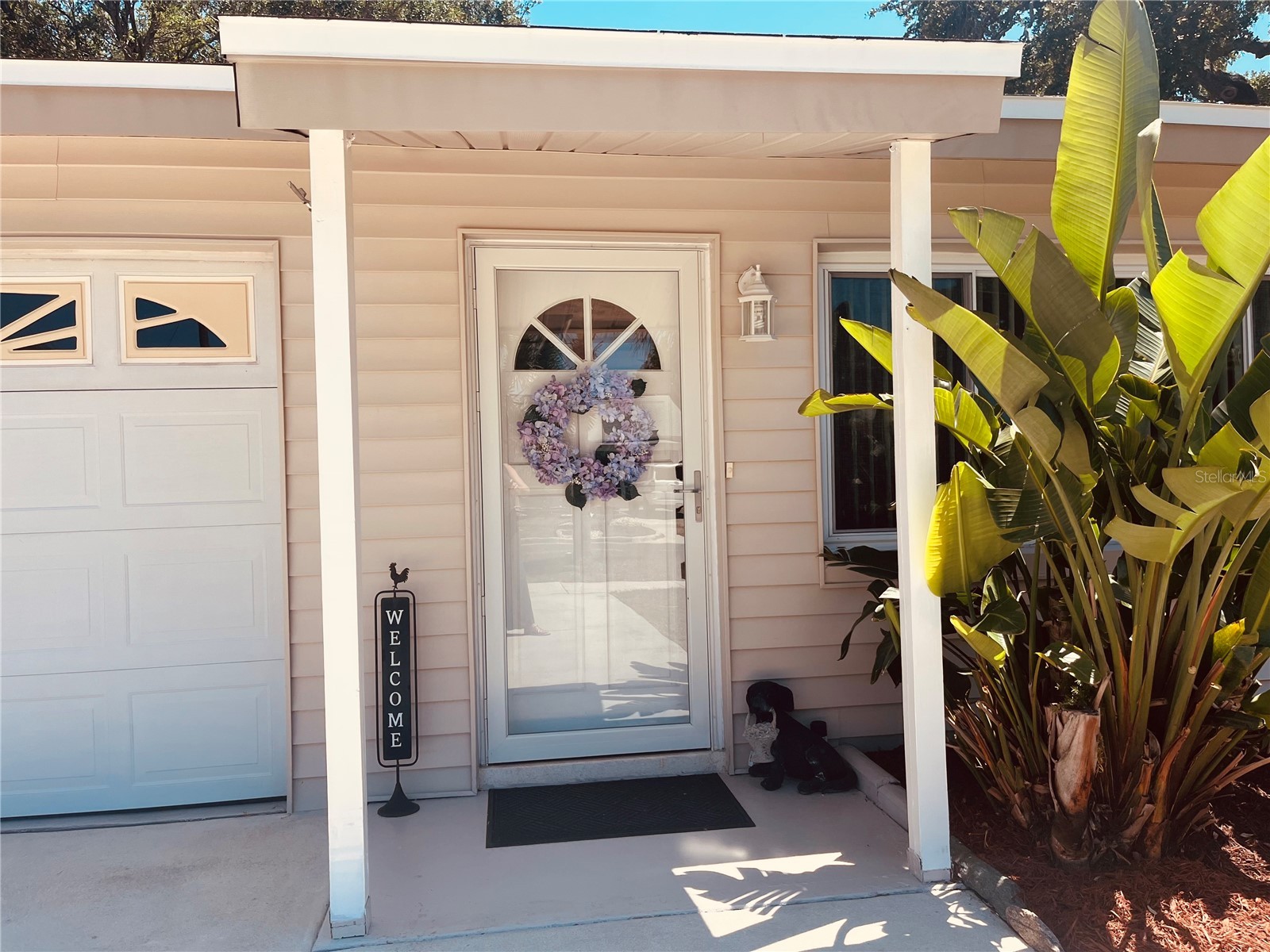551 Orangewood Drive Dunedin FL 34698 TB8504360 image40