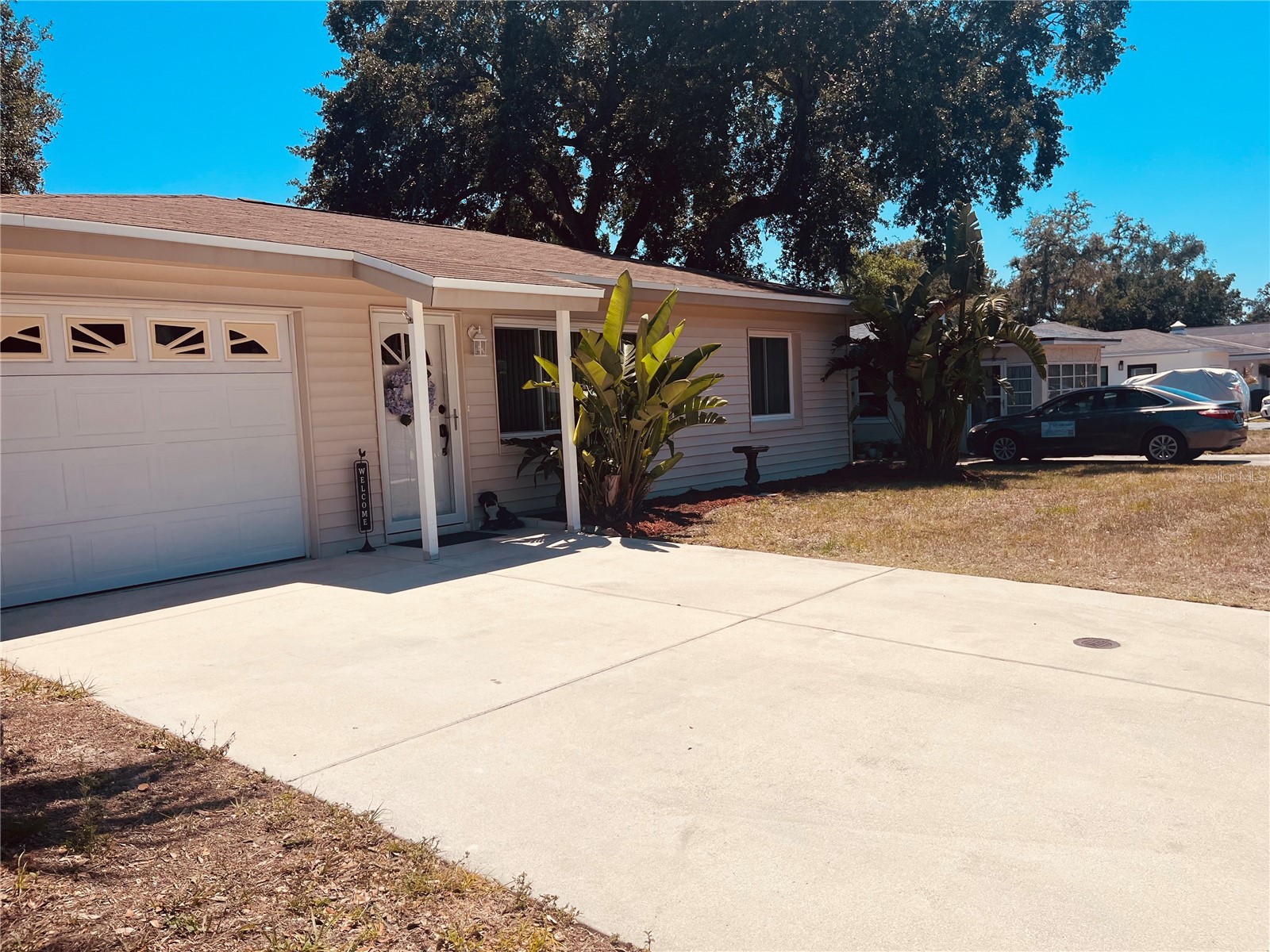 551 Orangewood Drive Dunedin FL 34698 TB8504360 image41