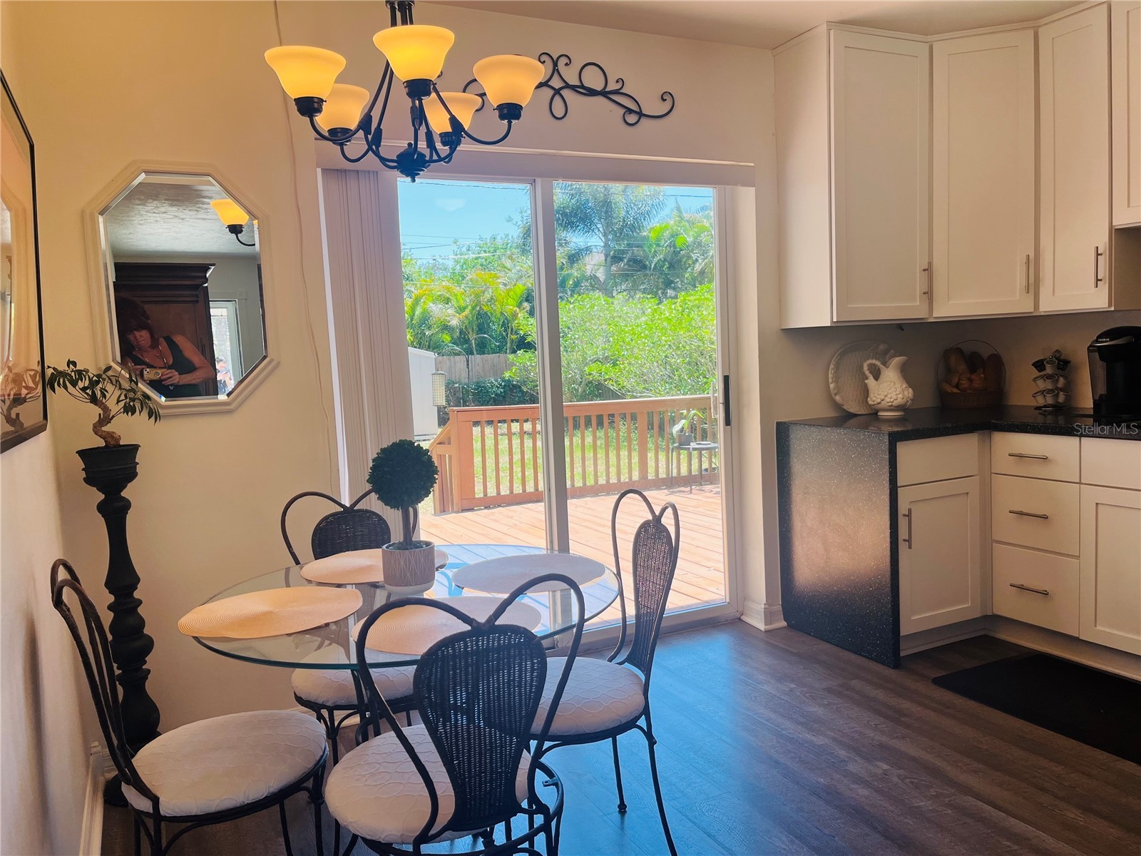 551 Orangewood Drive Dunedin FL 34698 TB8504360 image7