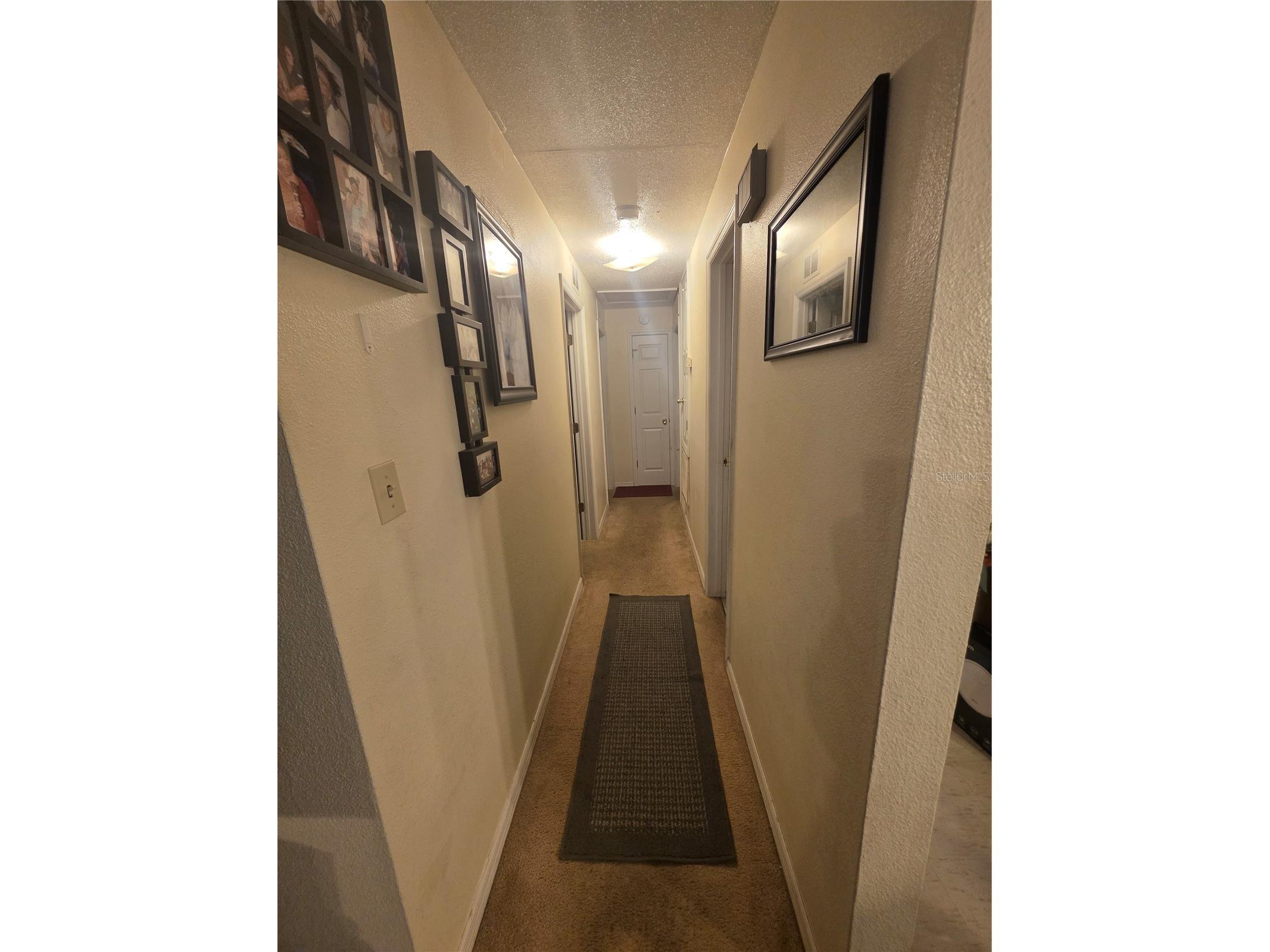 551 Ruffel Street Maitland FL 32751 S5146986 image7