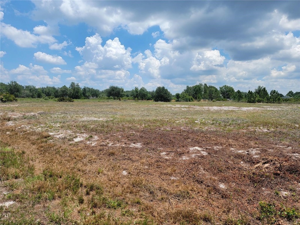 551 S Dickey Road Avon Park FL 33825 A4587664 image1