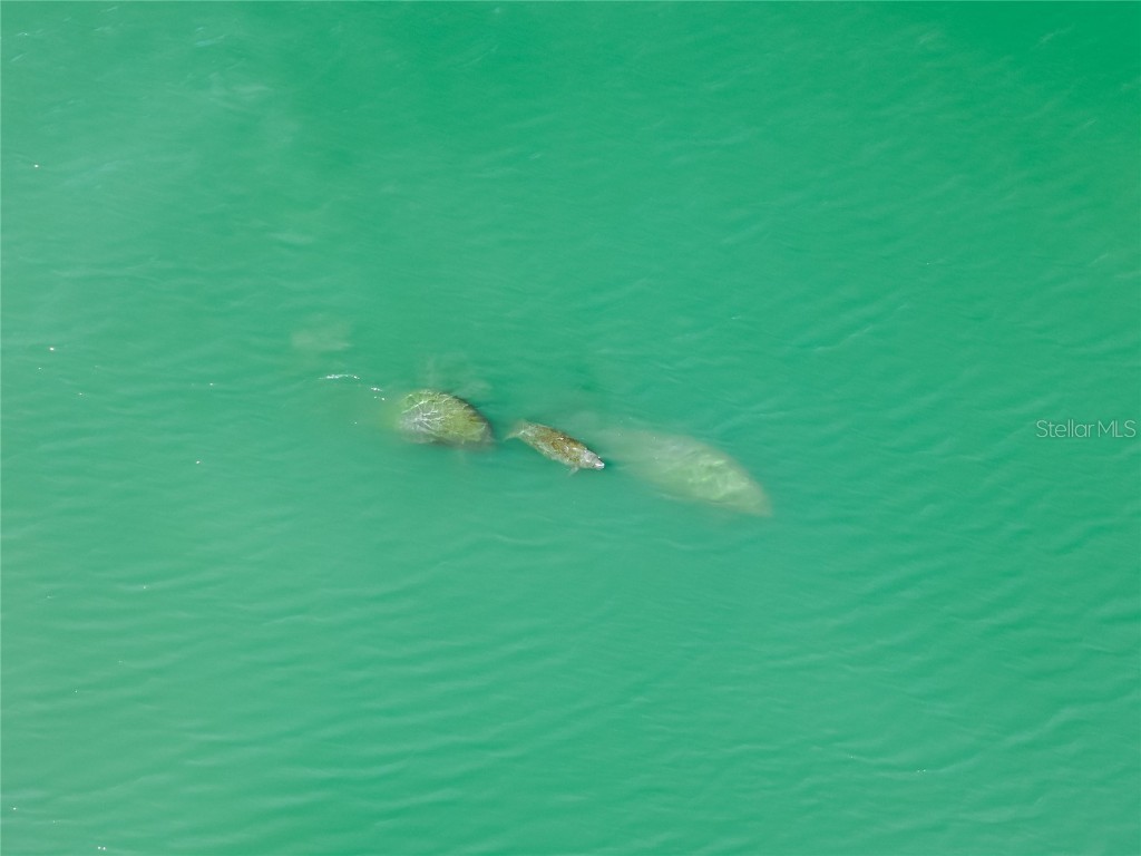 551 S Washington Drive Sarasota FL 34236 A4668634 image98