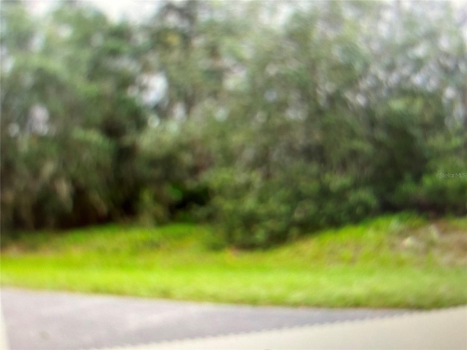 551 St Johns Court Kissimmee FL 34759 O6394046 image1
