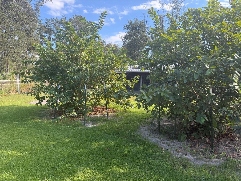 5510 Gator Country Plant City FL 33565 TB8416261 image34