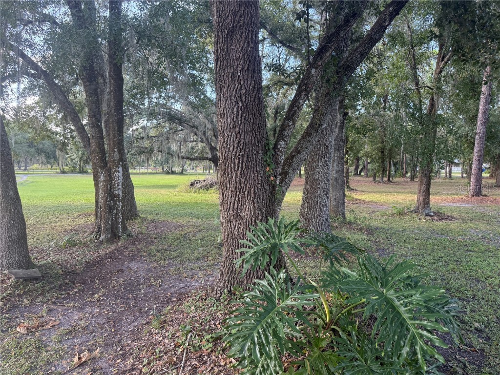 5510 Gator Country Plant City FL 33565 TB8416261 image40