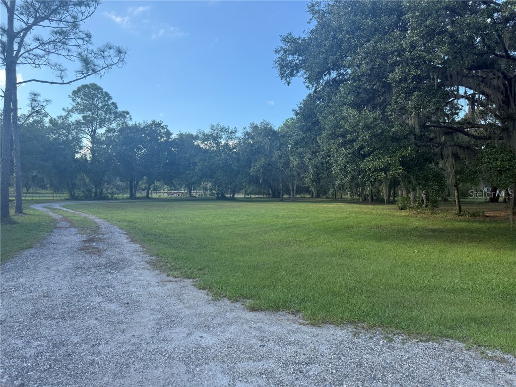 5510 Gator Country Plant City FL 33565 TB8416261 image42