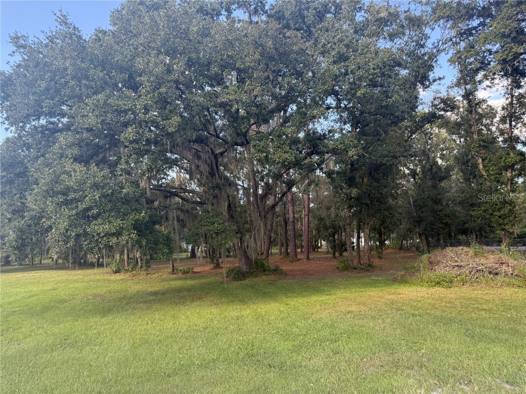 5510 Gator Country Plant City FL 33565 TB8416261 image43