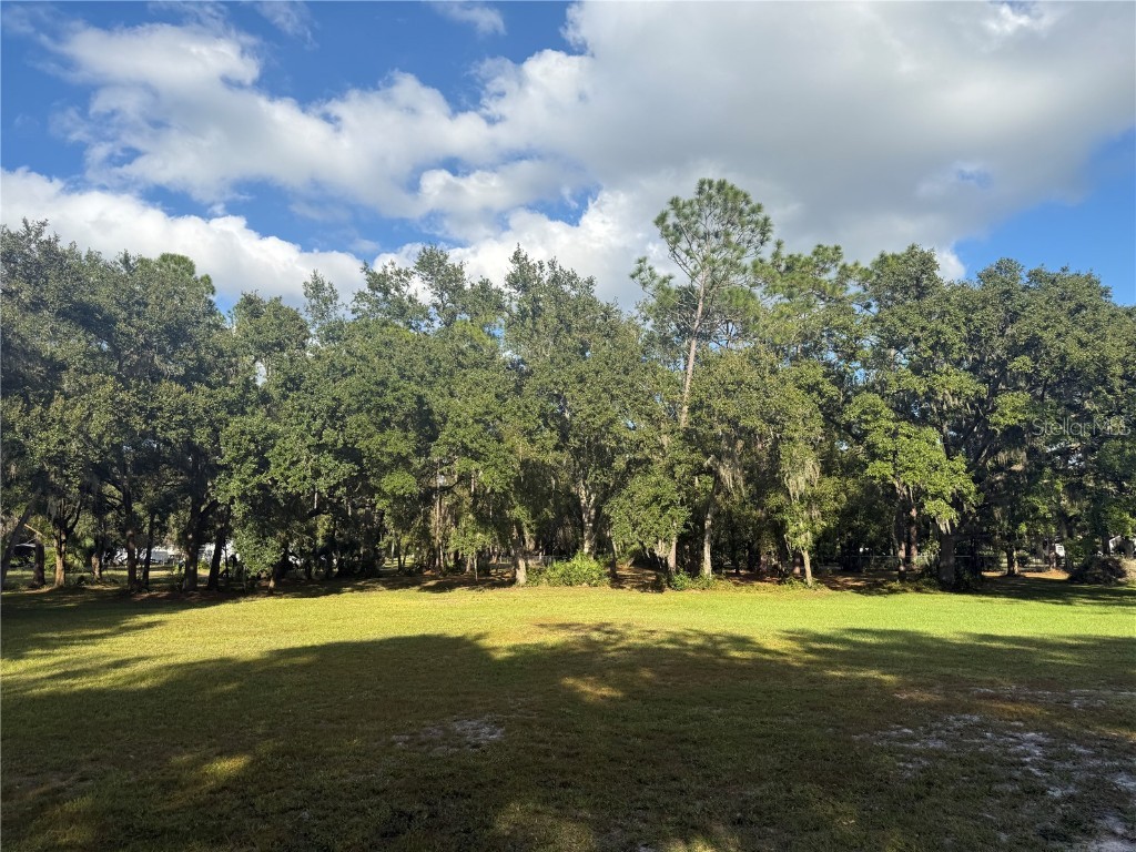 5510 Gator Country Plant City FL 33565 TB8416261 image47