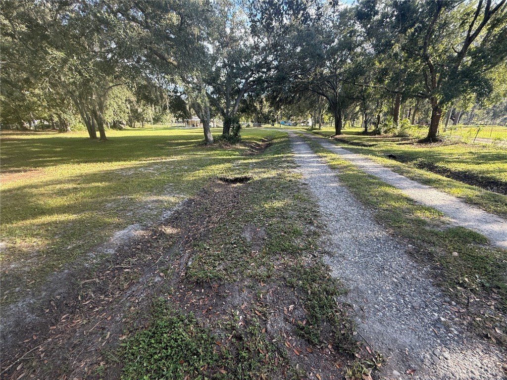 5510 Gator Country Plant City FL 33565 TB8416261 image50