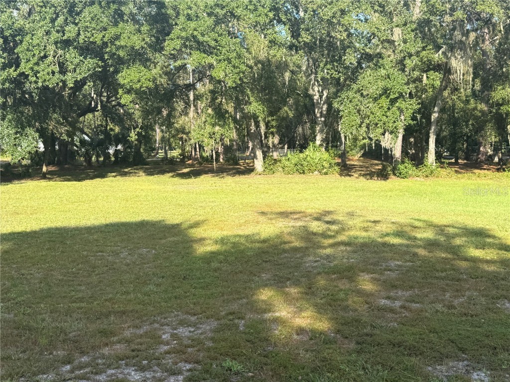 5510 Gator Country Plant City FL 33565 TB8416261 image53