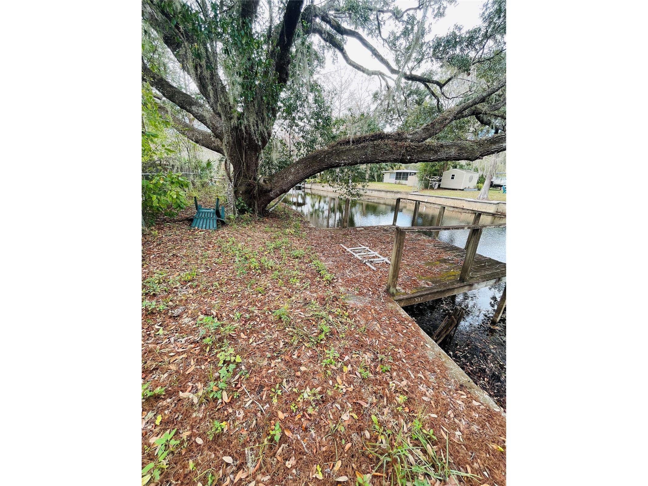 5510 S Bluegill Way Floral City FL 34436 OM717768 image1