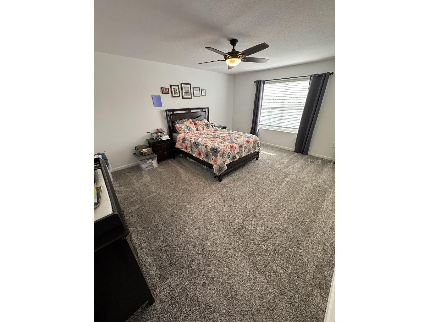 5511 Braken Fern Way Leesburg FL 34748 TB8480432 image16