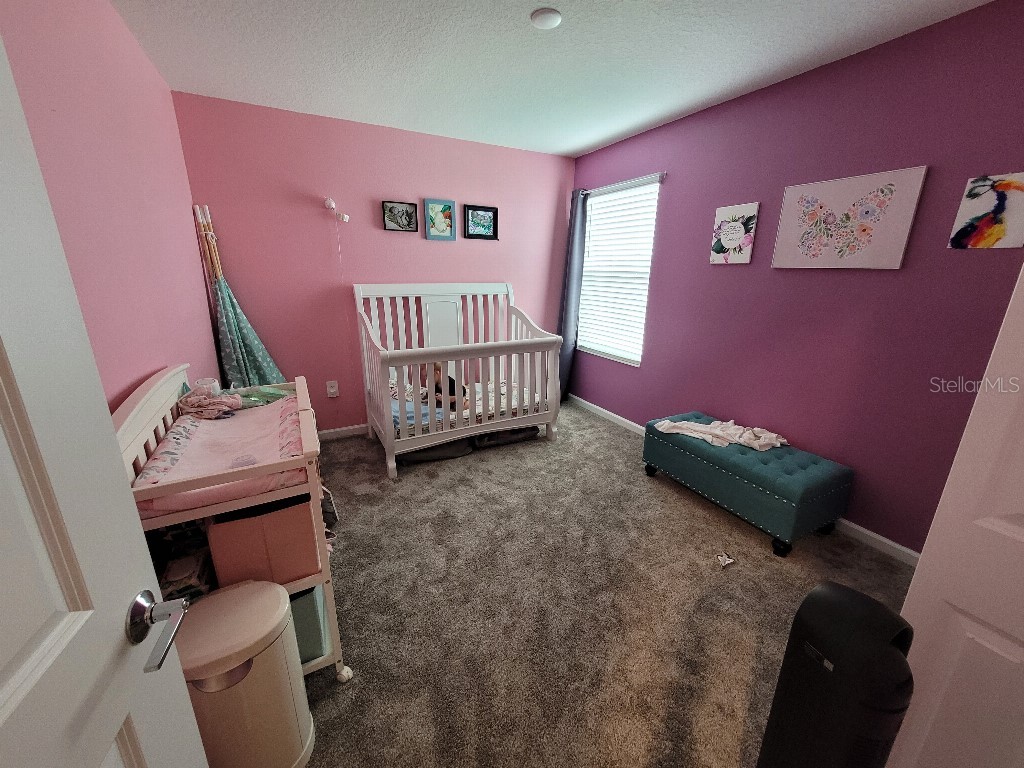 5511 Braken Fern Way Leesburg FL 34748 TB8480432 image21