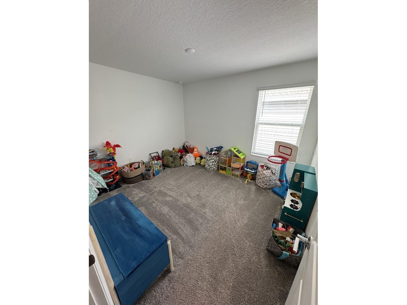 5511 Braken Fern Way Leesburg FL 34748 TB8480432 image25