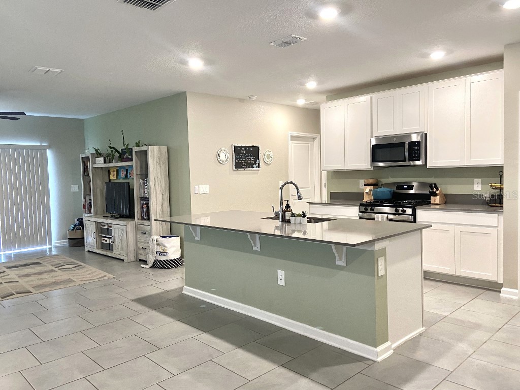5511 Braken Fern Way Leesburg FL 34748 TB8480432 image29