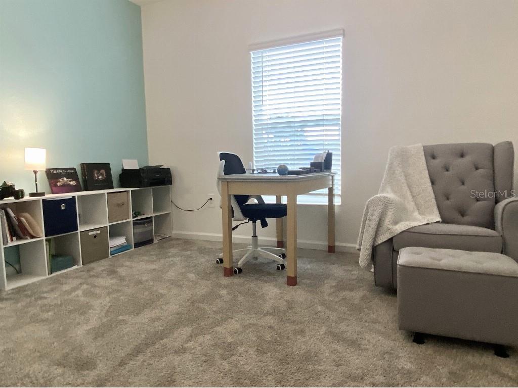 5511 Braken Fern Way Leesburg FL 34748 TB8480432 image30
