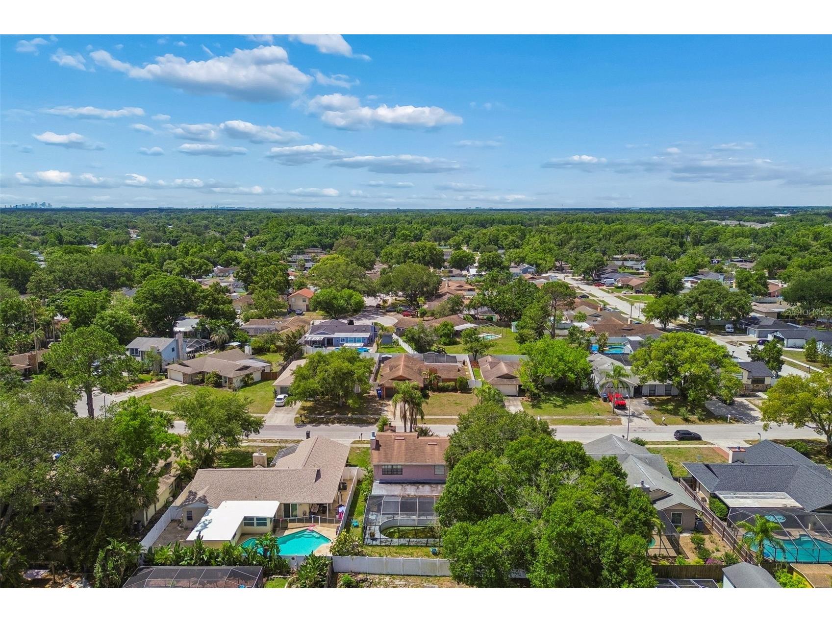 5511 Raven Court Tampa FL 33625 TB8507343 image29