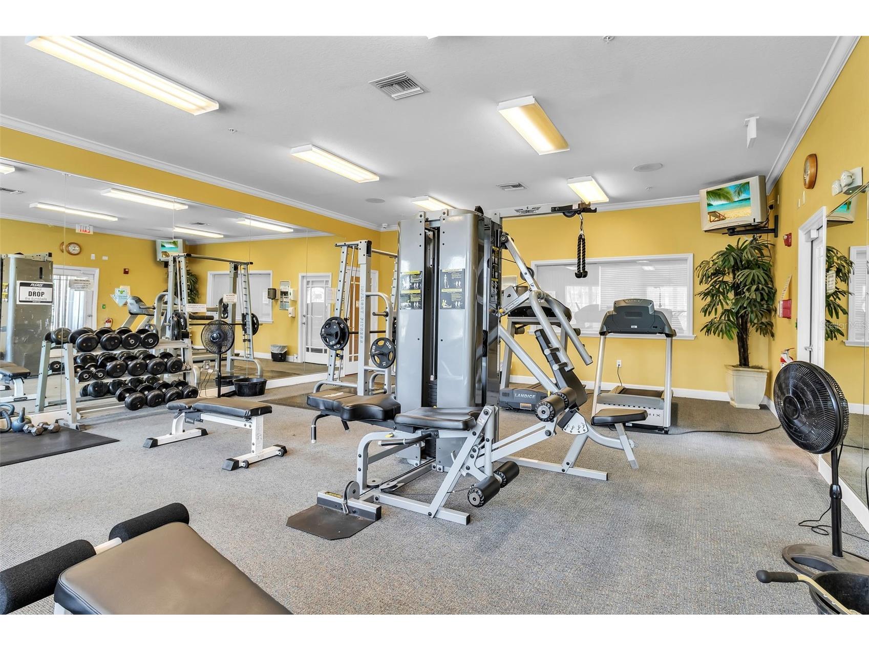 5511 Rosehill Road #203 Sarasota FL 34233 A4688309 image43