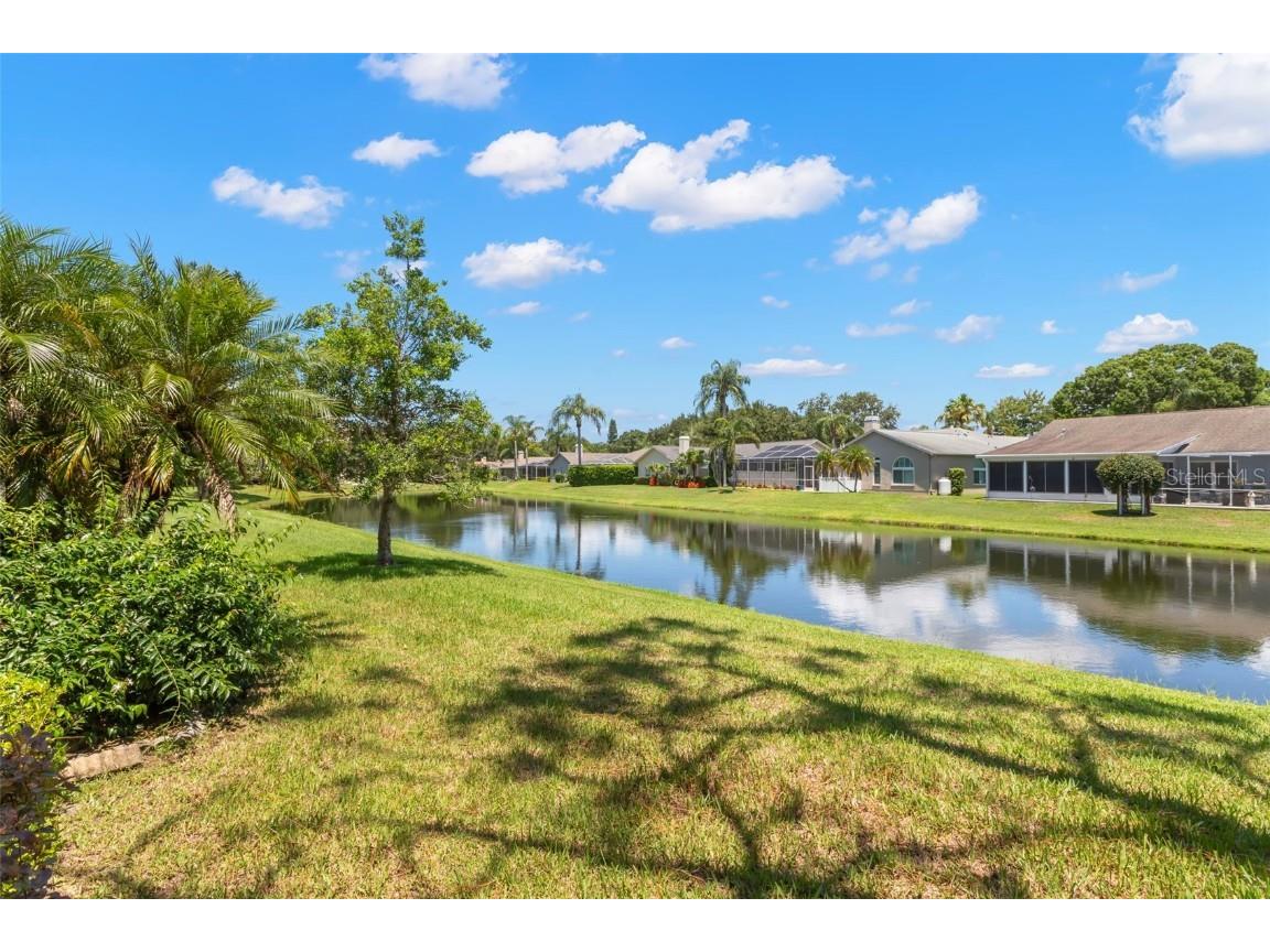 5511 Salem Square Drive N Palm Harbor FL 34685 TB8411139 image22