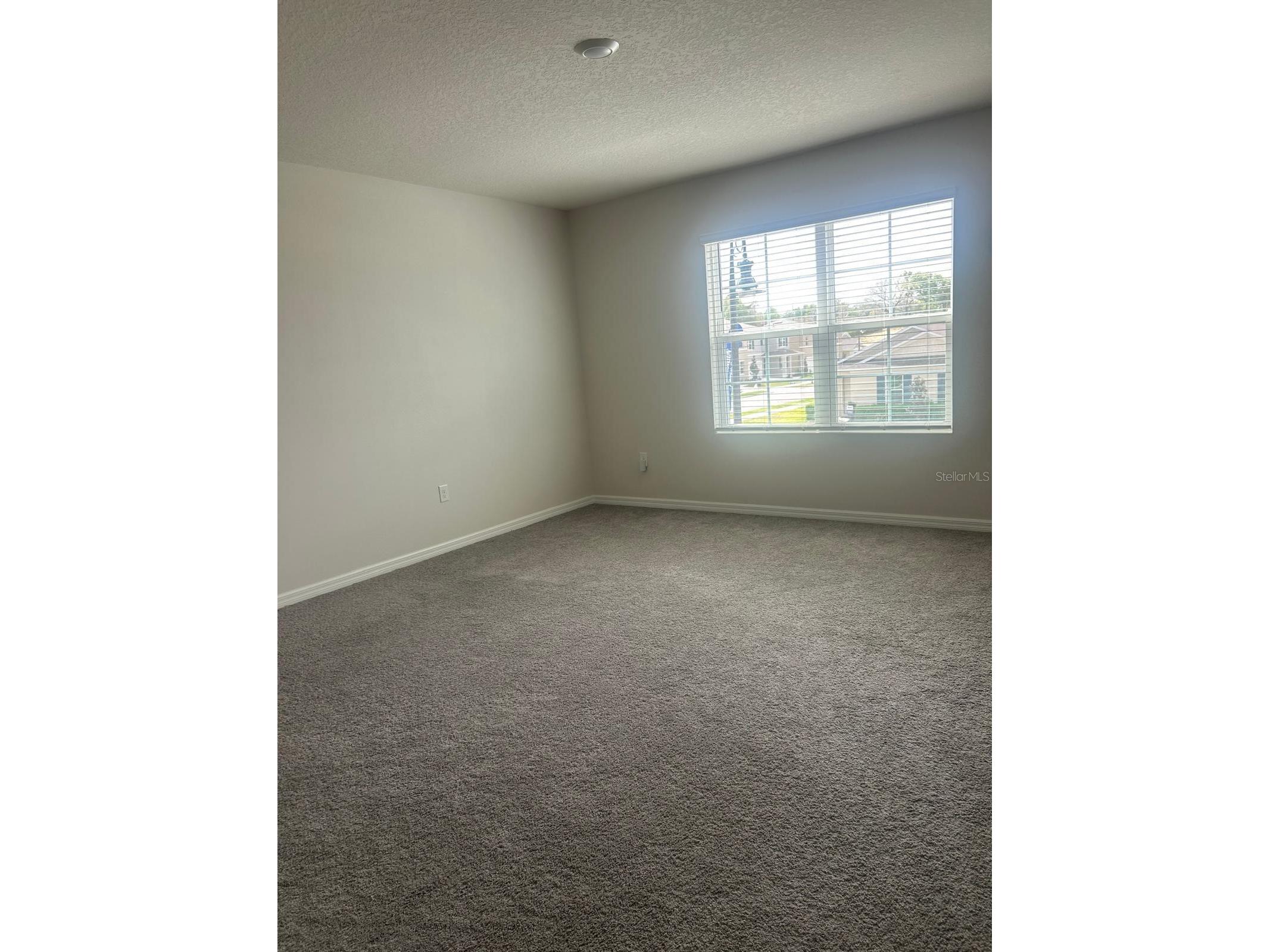 5511 Stable Mate Drive Apopka FL 32712 O6405159 image7
