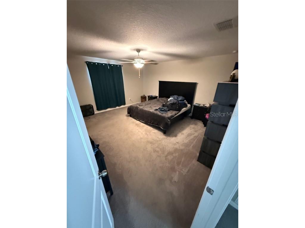 5512 Olano Street Palmetto FL 34221 A4668471 image10