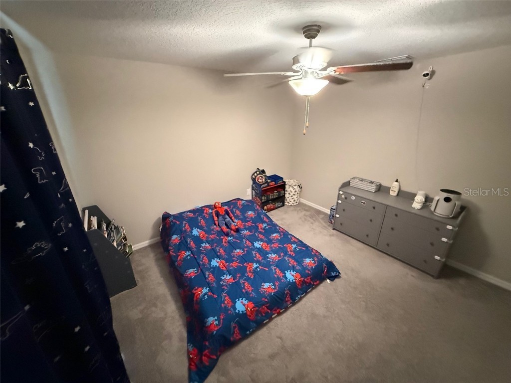 5512 Olano Street Palmetto FL 34221 A4668471 image9