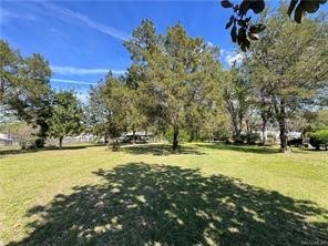 5512 S Bob White Drive Homosassa FL 34446 TB8372183 image31