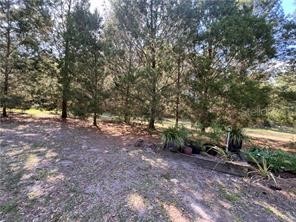 5512 S Bob White Drive Homosassa FL 34446 TB8372183 image44