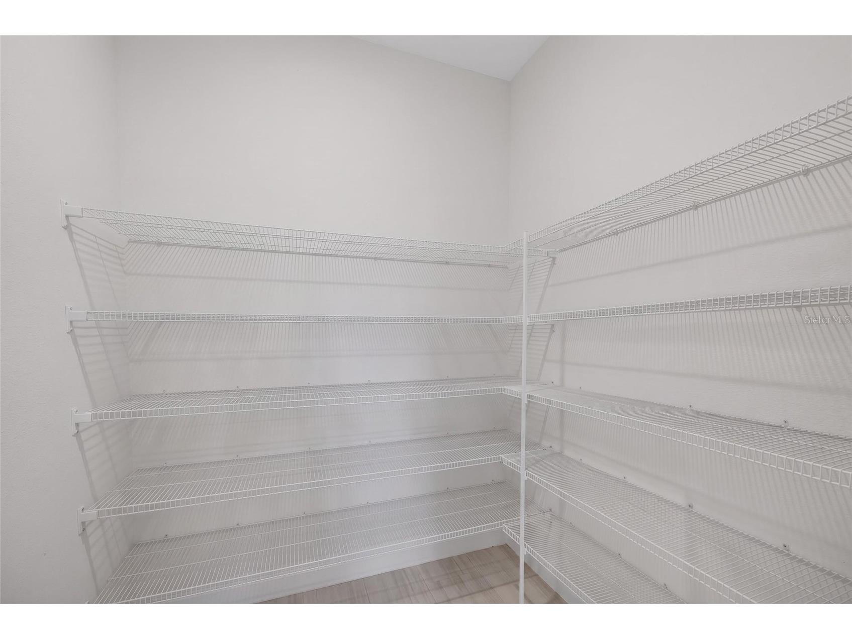 5513 Little Path Drive Wimauma FL 33598 TB8504507 image19