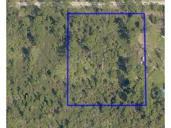 5513 Nutwood Avenue Bunnell FL 32110 FC295278 image1