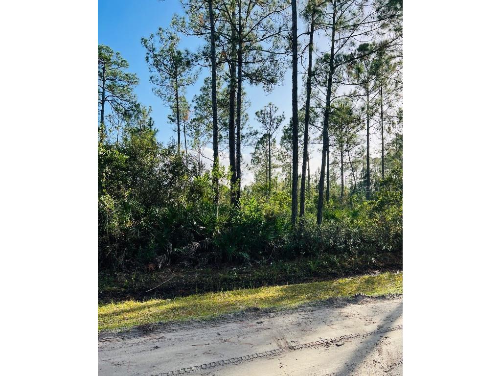 5513 Nutwood Avenue Bunnell FL 32110 FC305093 image1