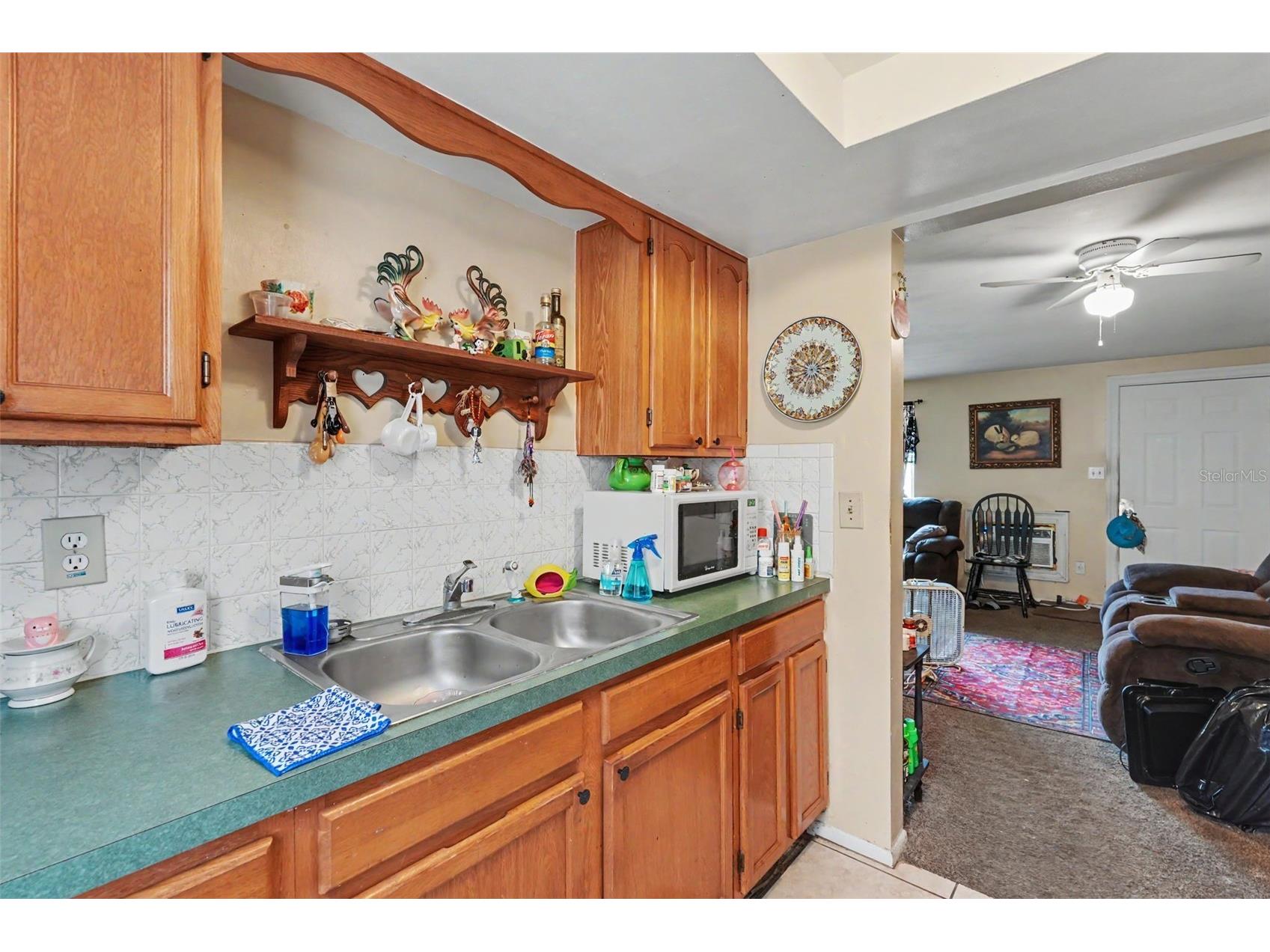 5513 Oceanic Road Holiday FL 34690 TB8526836 image19