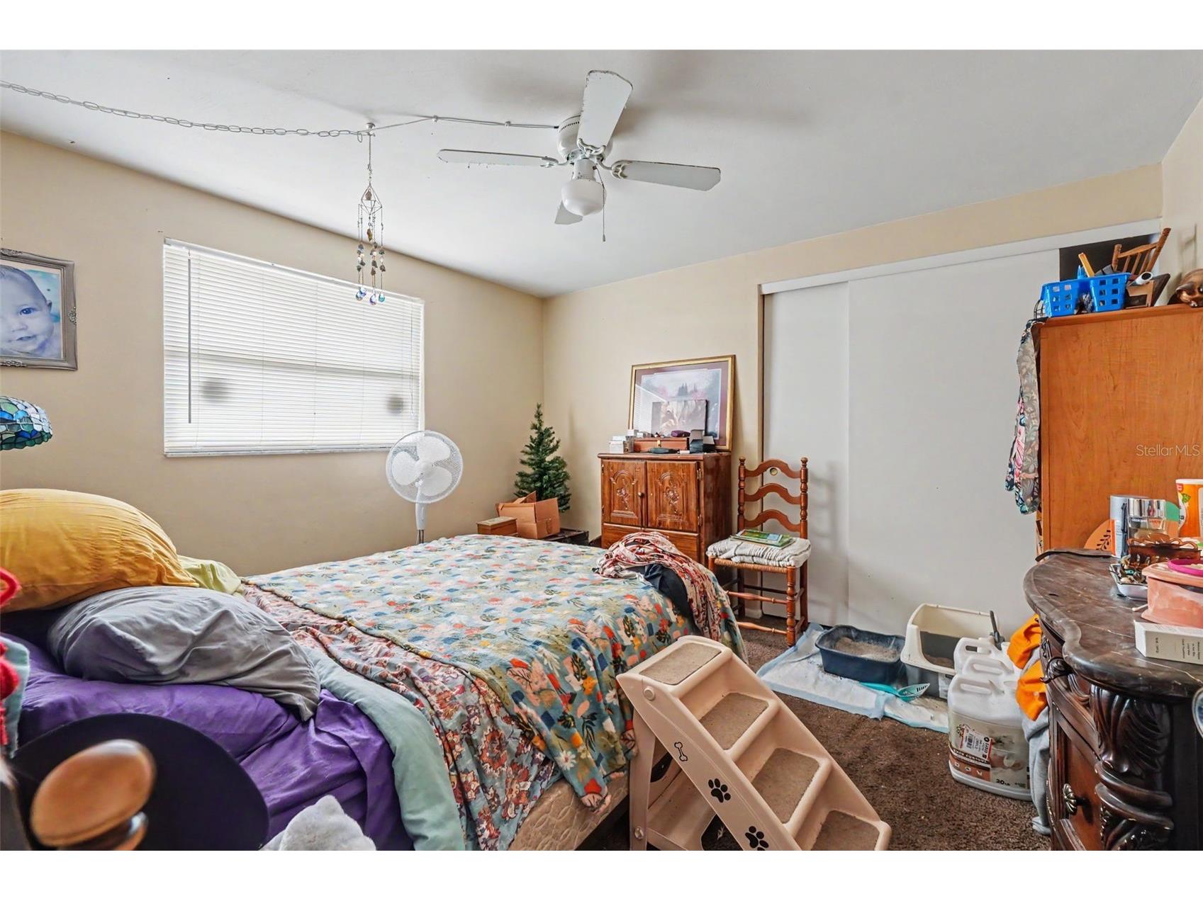 5513 Oceanic Road Holiday FL 34690 TB8526836 image20