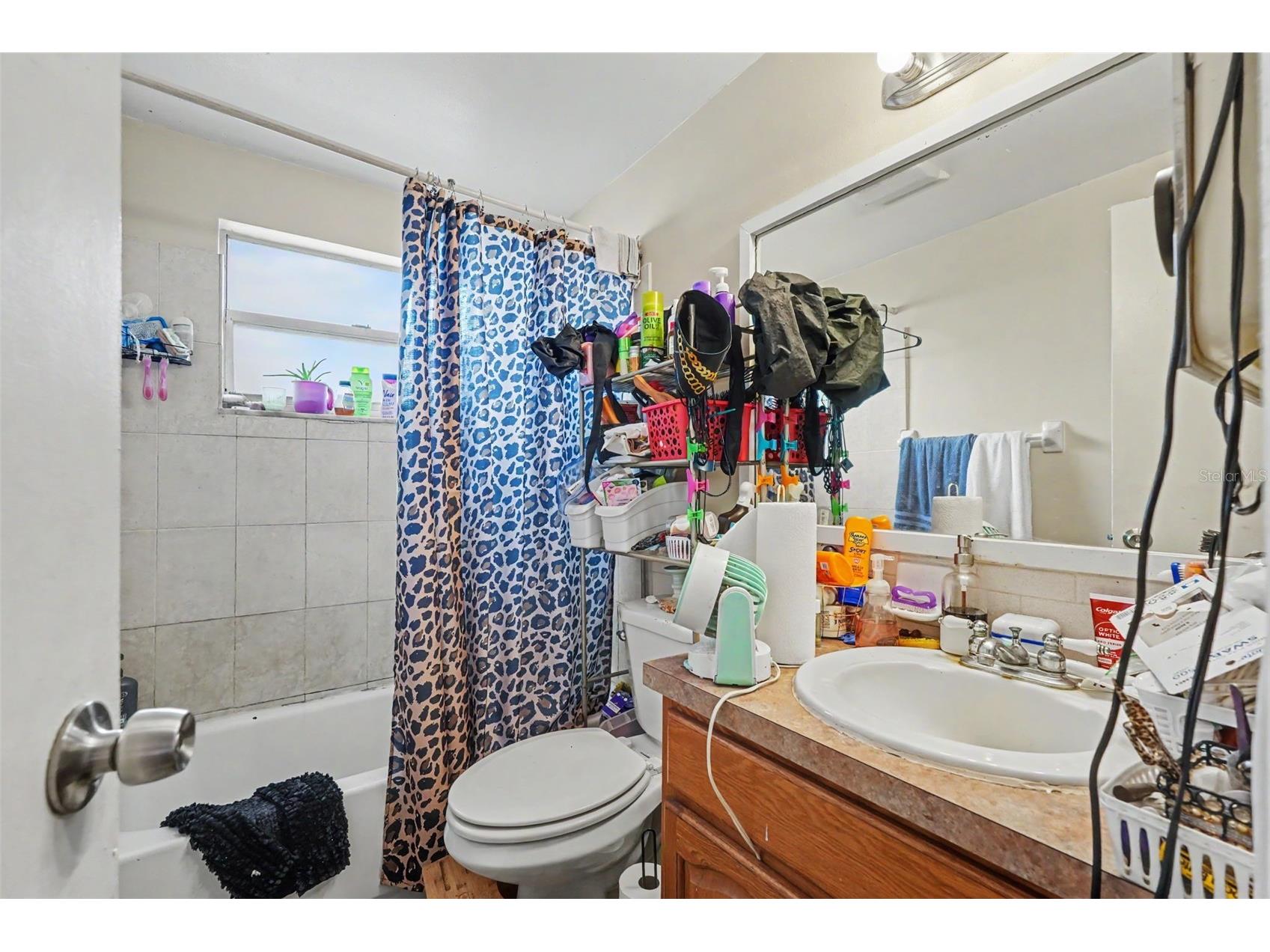 5513 Oceanic Road Holiday FL 34690 TB8526836 image36