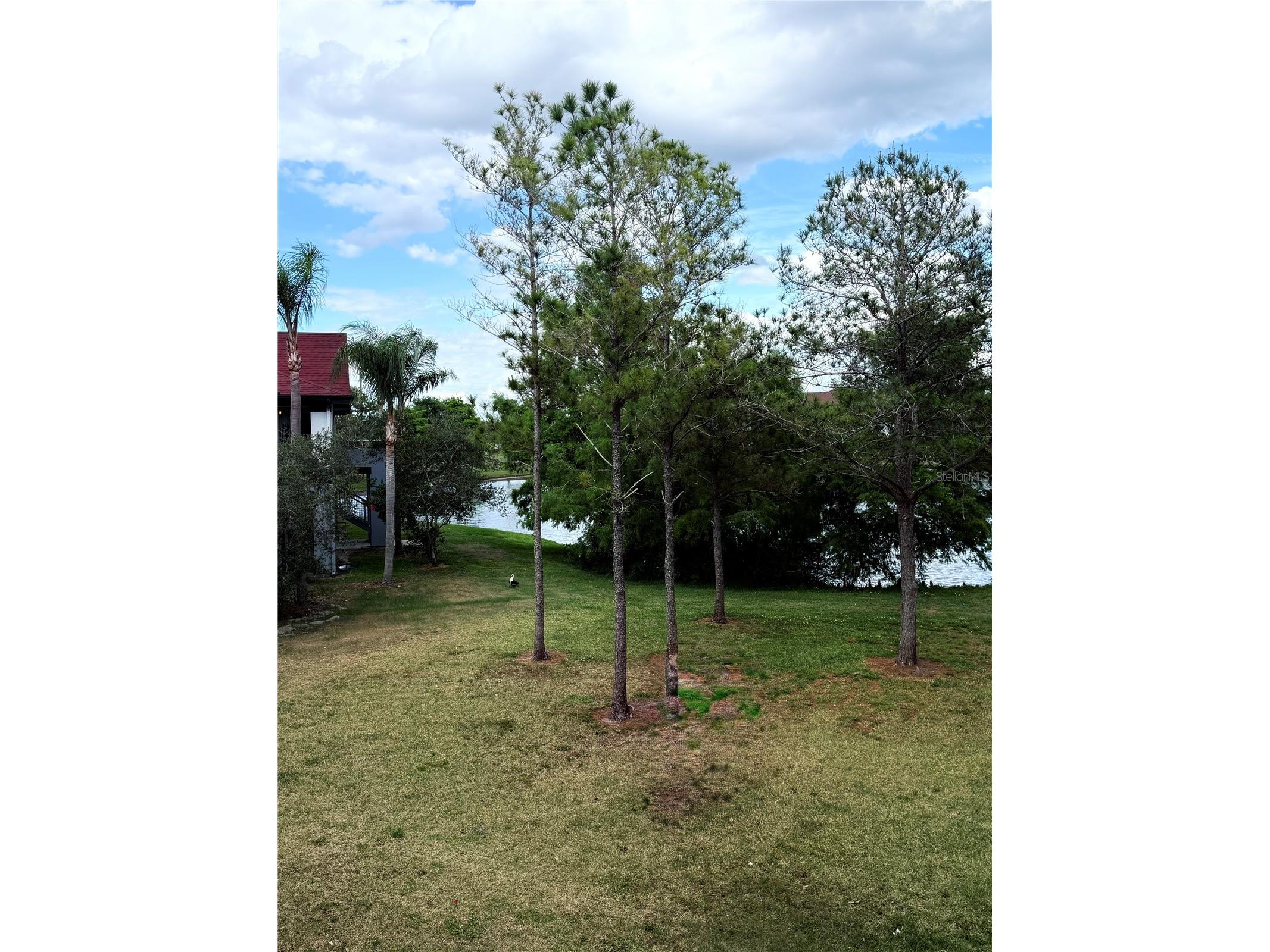 5513 P G A Boulevard #4827 Orlando FL 32839 O6404536 image27