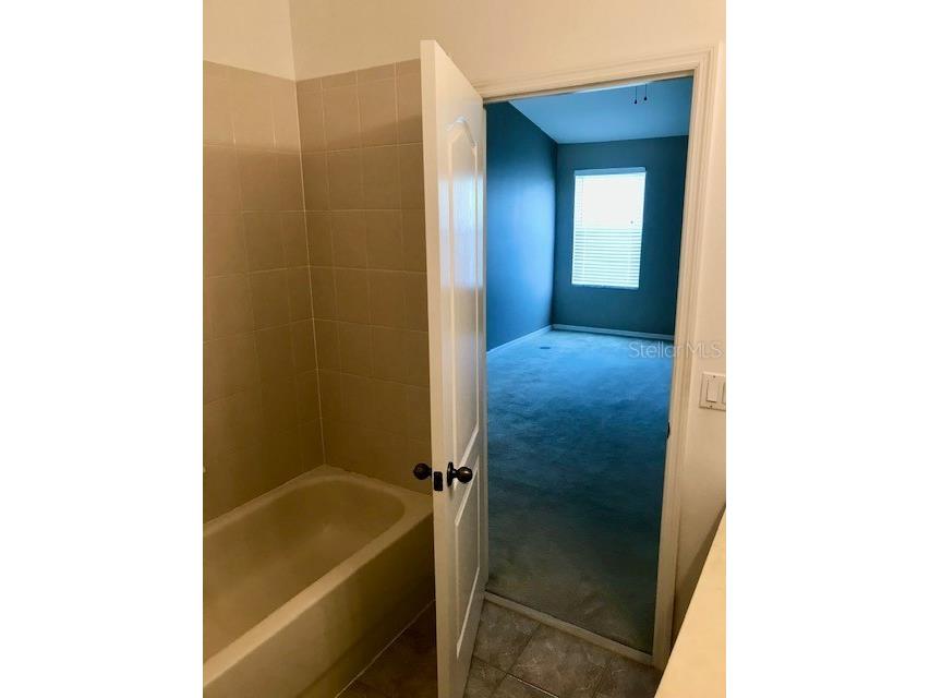 5513 Somersby Road Windermere FL 34786 O6406305 image19