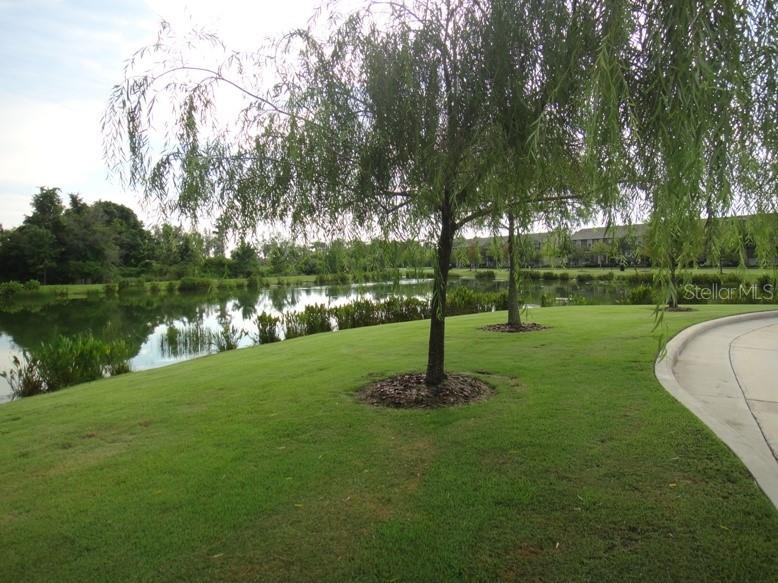5513 Somersby Road Windermere FL 34786 O6406305 image25