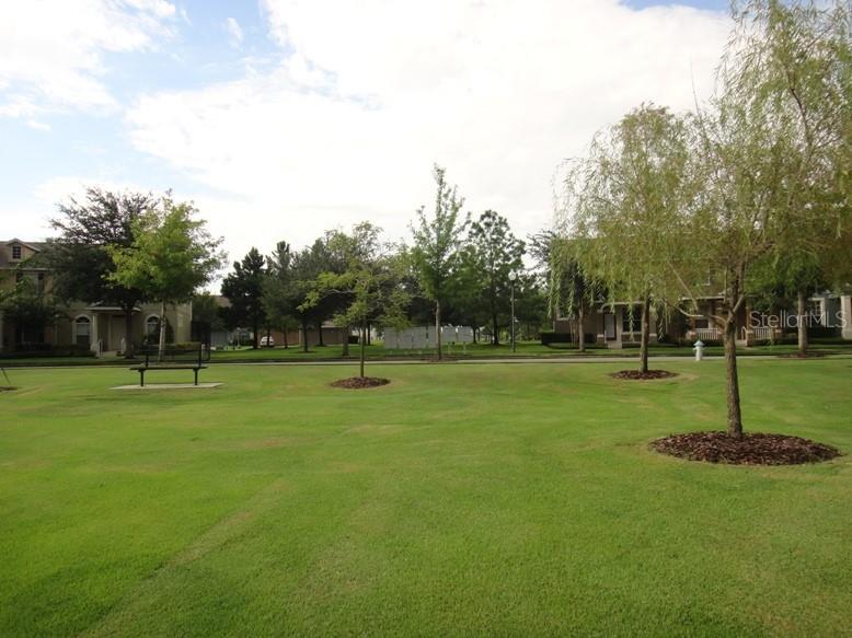 5513 Somersby Road Windermere FL 34786 O6406305 image26