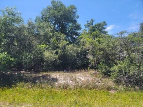 5513 Thunder Road Sebring FL 33876 L4944239 image1