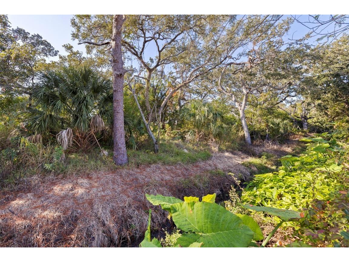 5514 146th Terrace N Clearwater FL 33760 TB8452116 image20