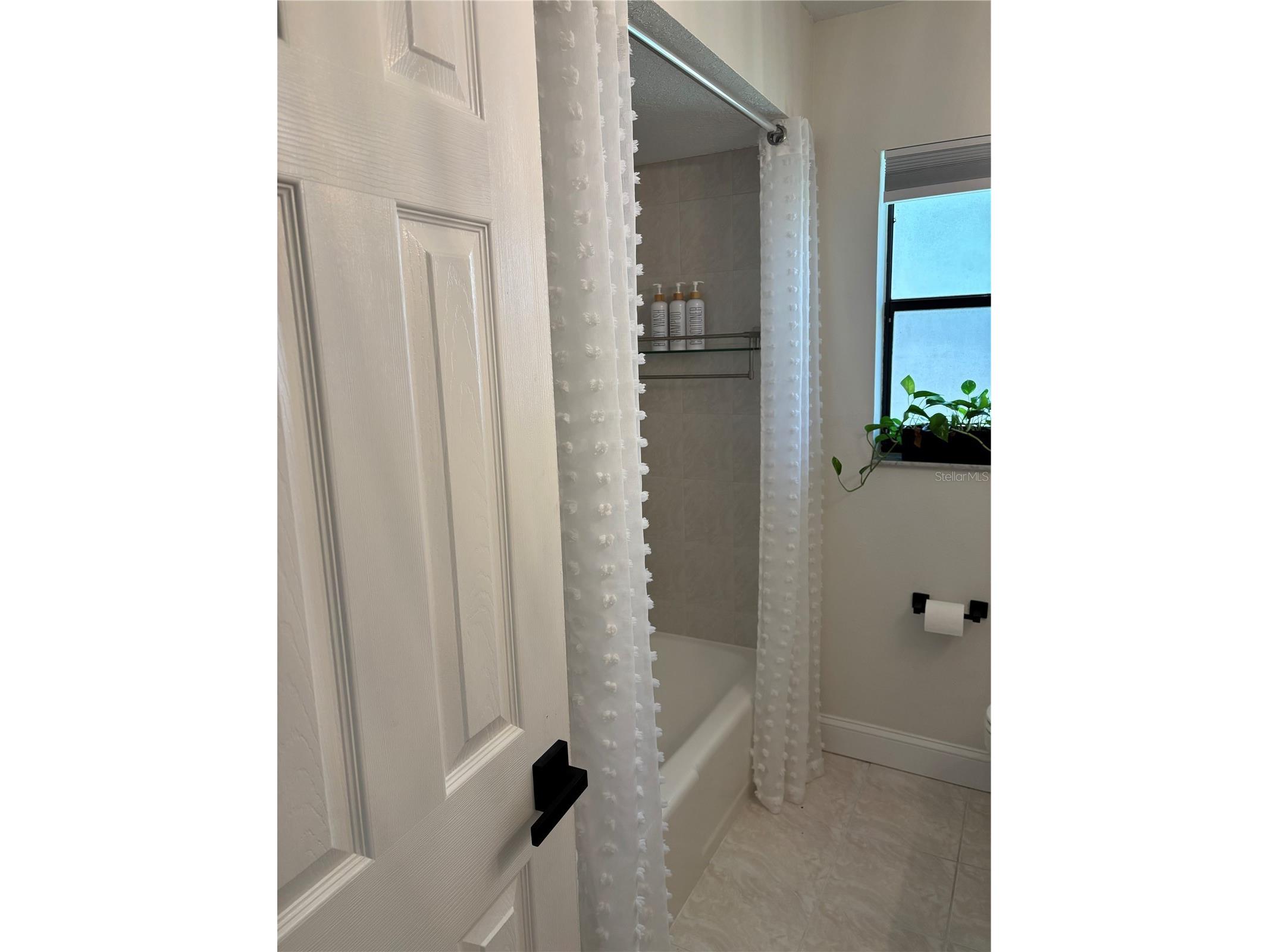 5514 Gridley Lane New Port Richey FL 34652 W7886173 image21