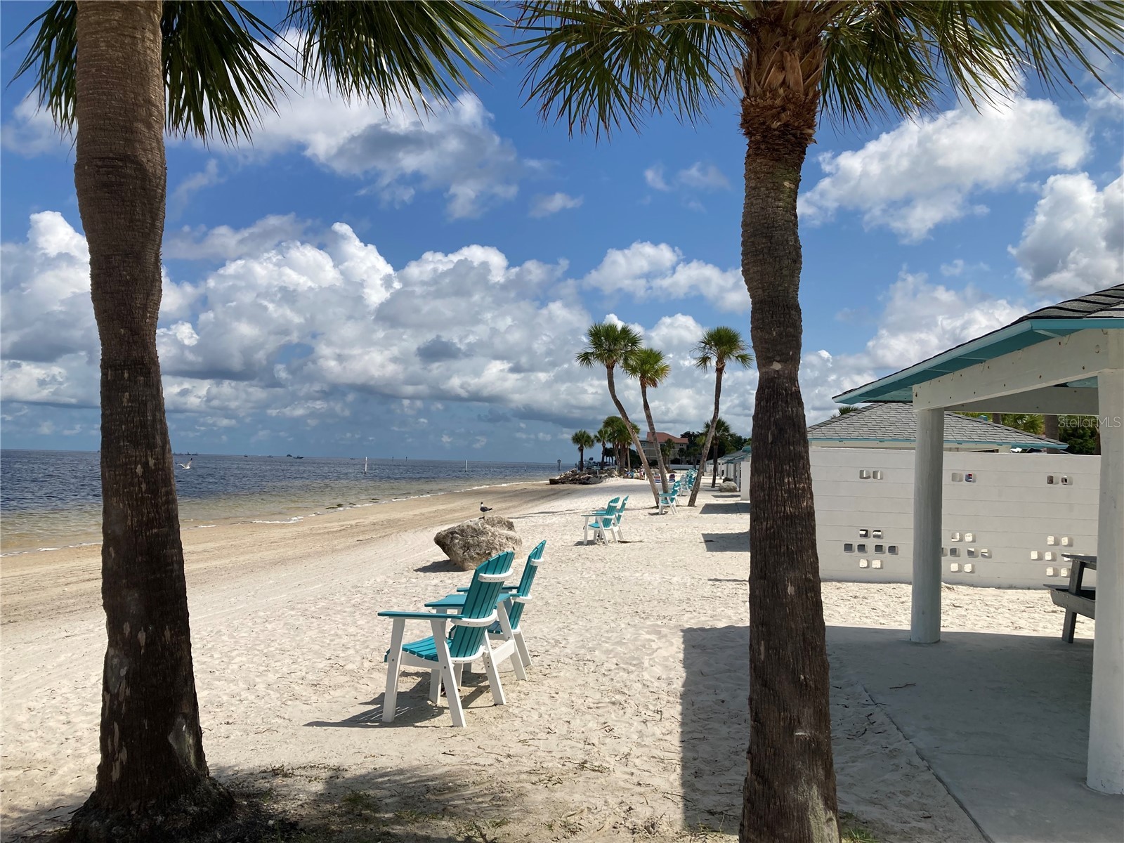 5514 Gridley Lane New Port Richey FL 34652 W7886173 image25