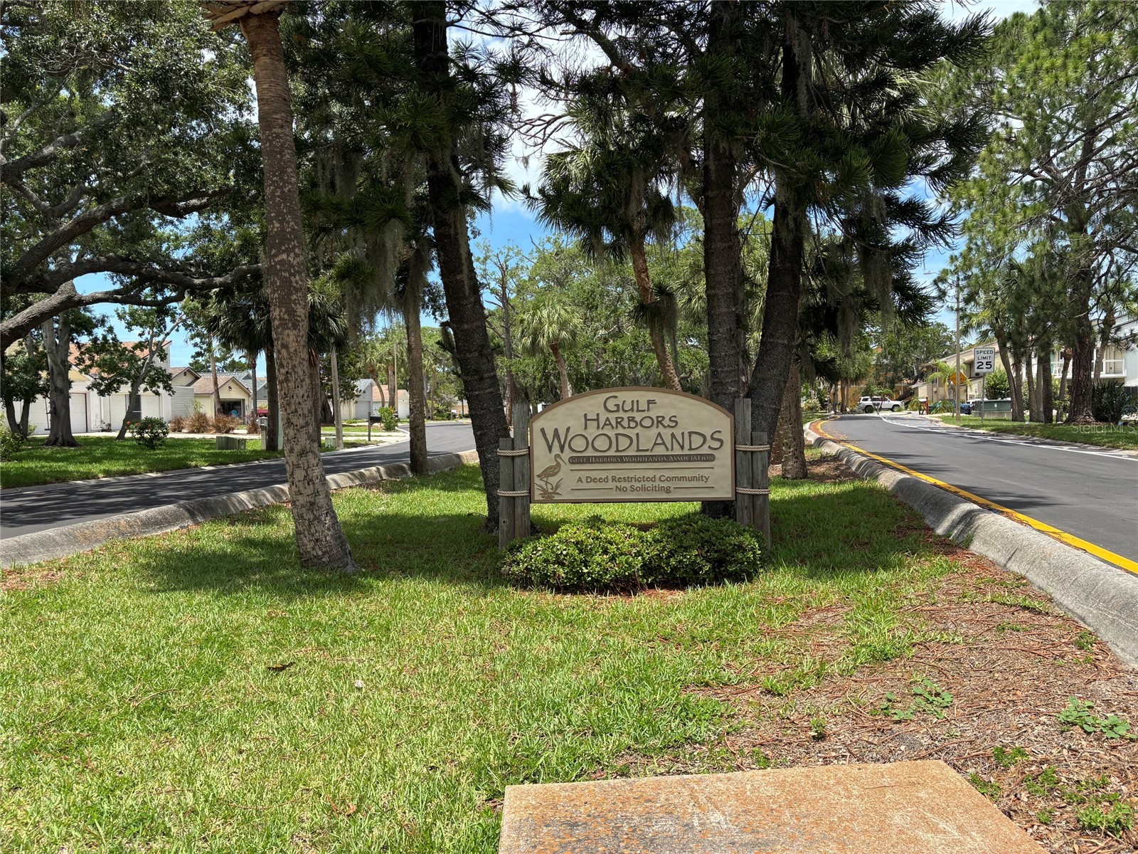 5514 Gridley Lane New Port Richey FL 34652 W7886173 image28