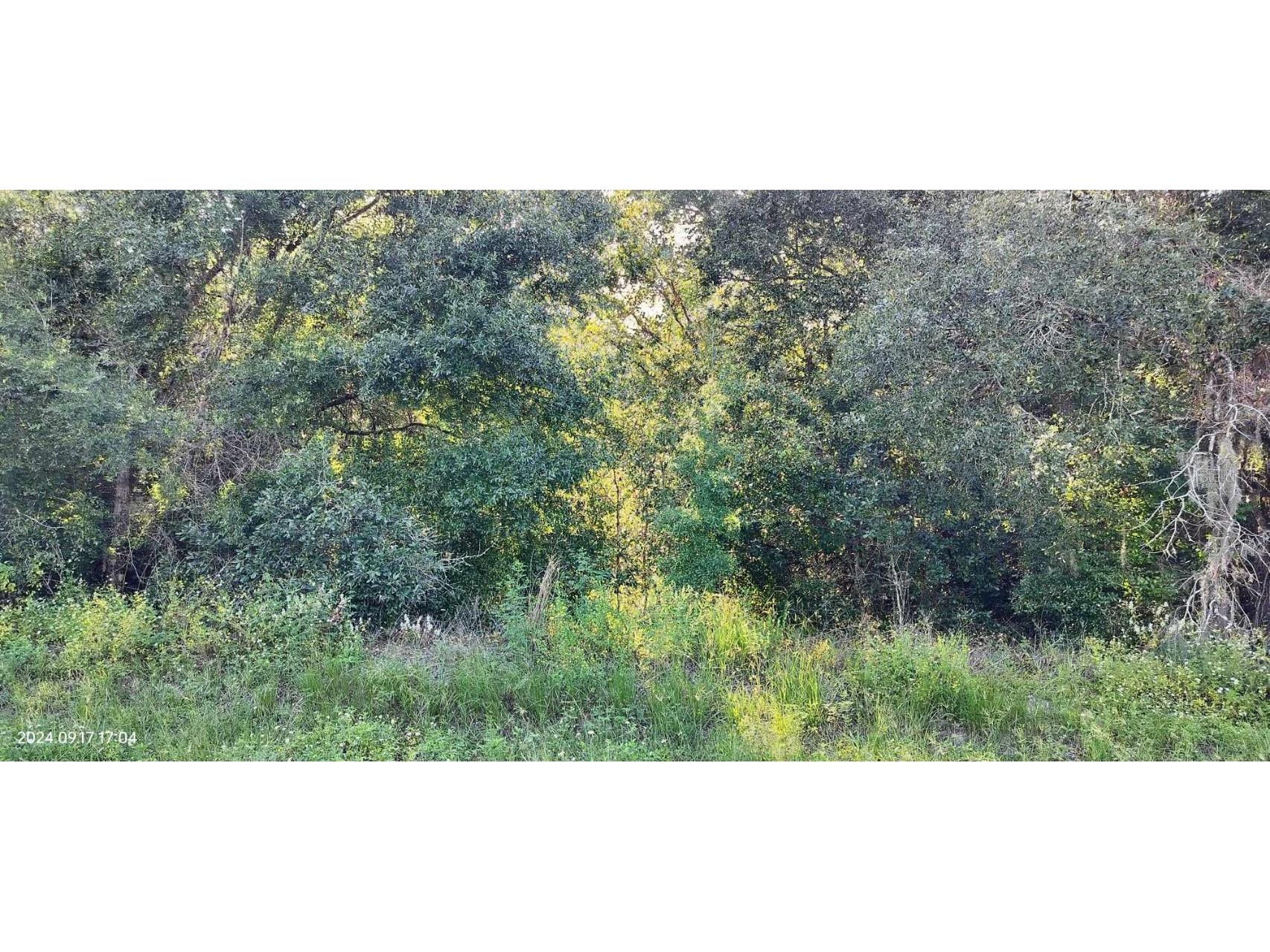 5514 N Irving Park Avenue Hernando FL 34442 TB8307030 image1