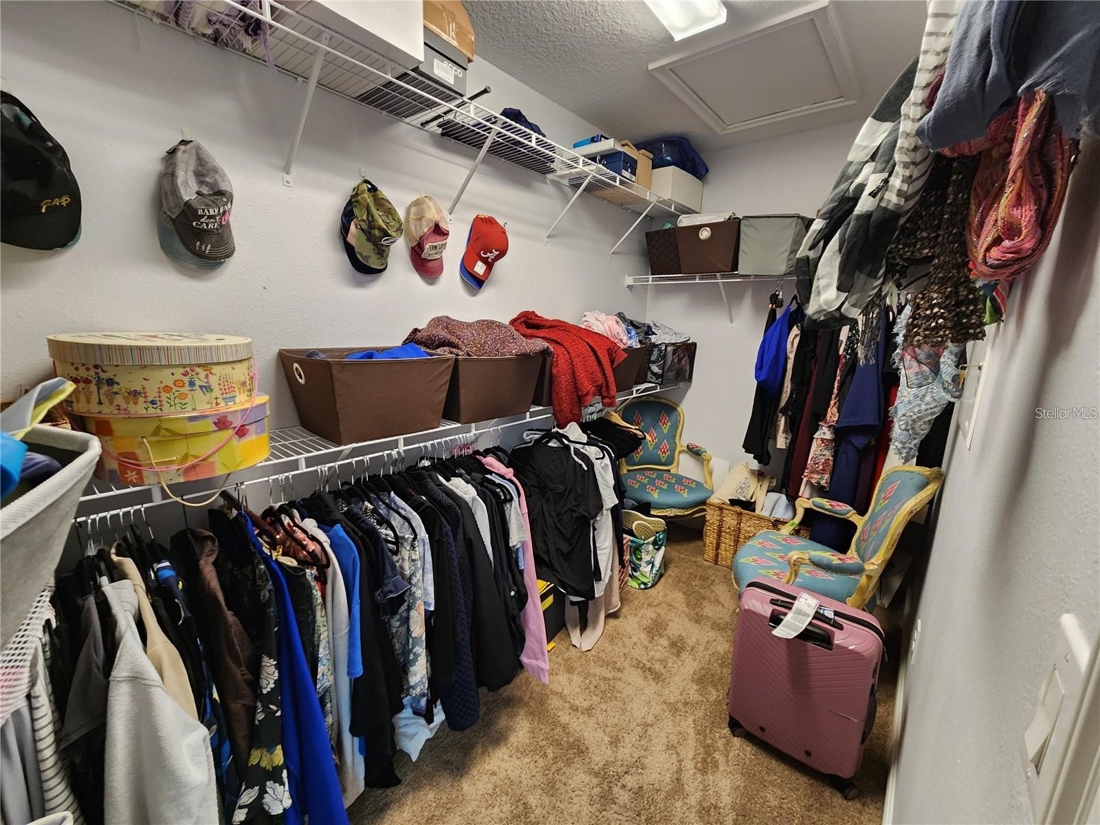 5514 Viola Lee Way Lutz FL 33558 TB8494521 image18