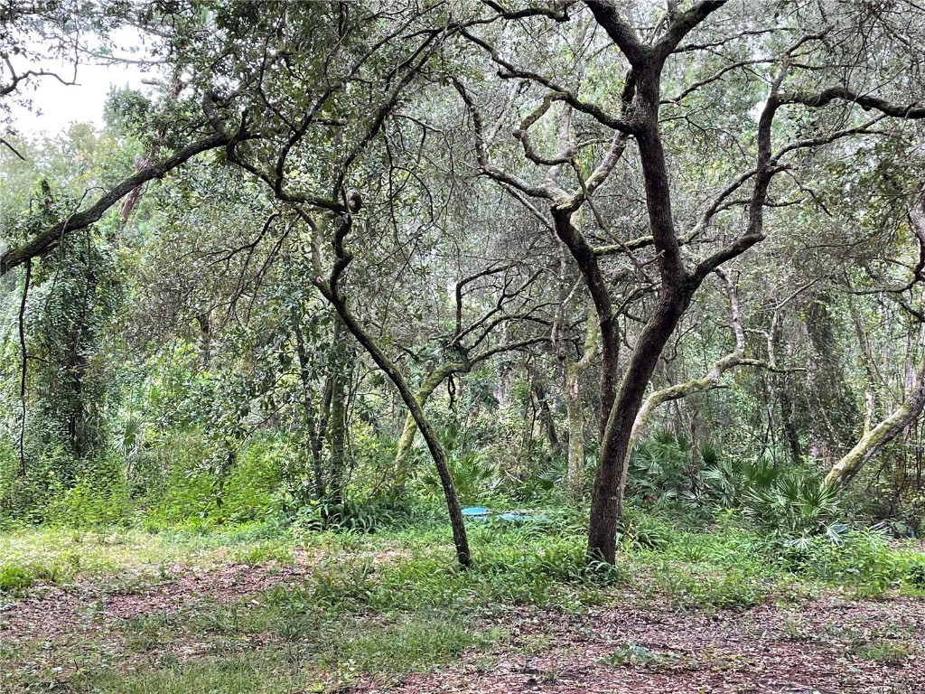 55147 1st Street Astor FL 32102 V4932532 image1