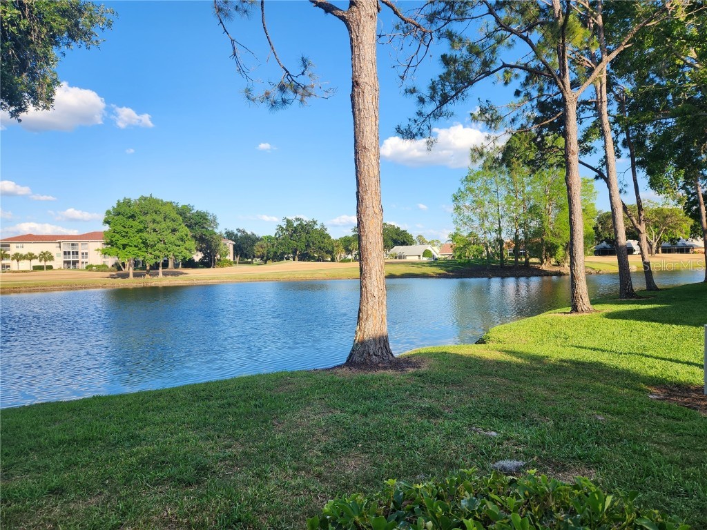 5515 Fair Oaks Street #5515 Bradenton FL 34203 A4641923 image14