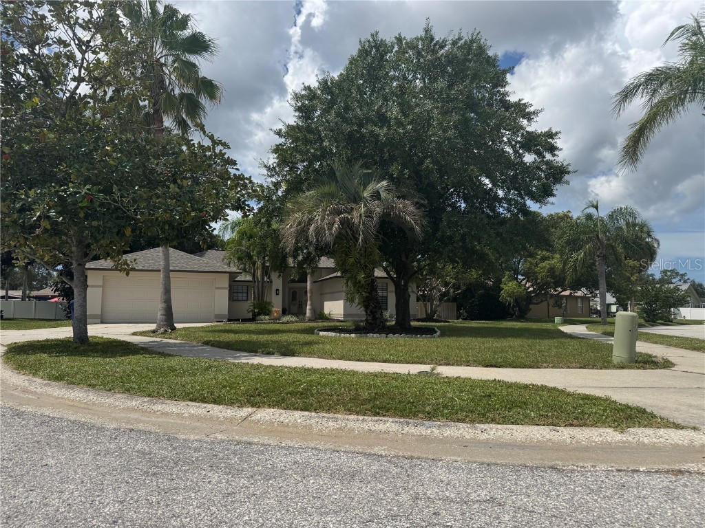 5515 Gannett Court New Port Richey FL 34655 TB8428853 image3