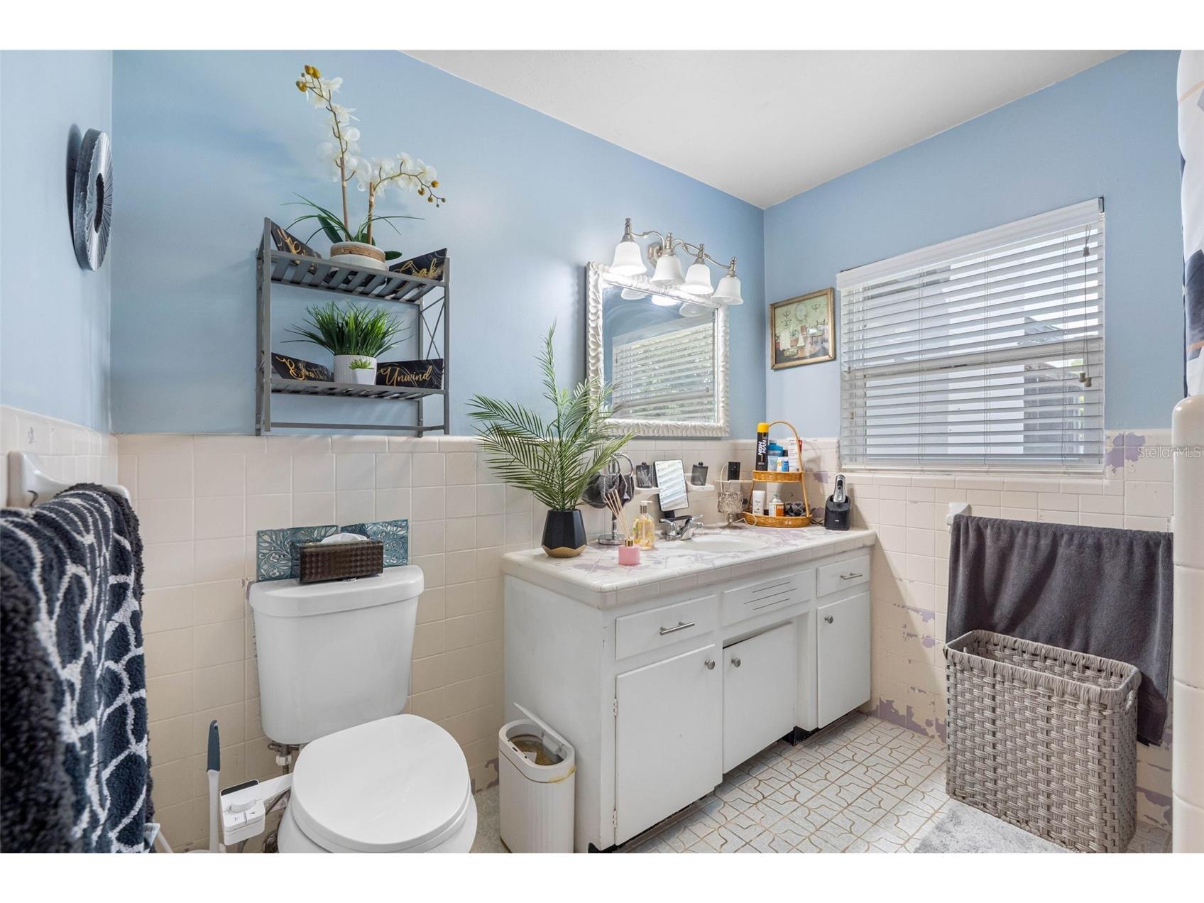 5515 Lake Le Clare Road Lutz FL 33558 TB8516728 image30